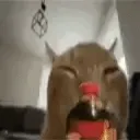 22879cokeshakeybuhflip