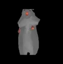 rat_dance