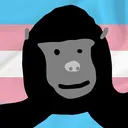 transflagmonke