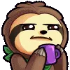 sloth_sipstare