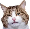 Juuzuuz Juuzuuz