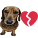 cachorrotriste