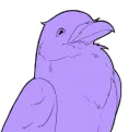 Corvid_Dancing Corvid_Dancing