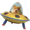 alien_hampter alien_hampter