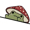freggy freggy
