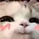 uwu