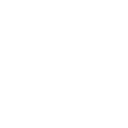 icon_fool
