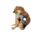 cheemsgun