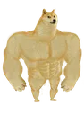 buffdoge