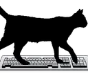 CatOnKeyboard