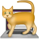 catkeyboard