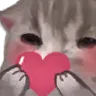 Miao_heart