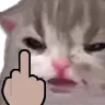 Miao_midfinger