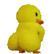 duckass