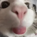 Bleh