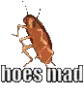 Roach