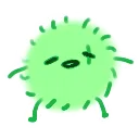 marimoo
