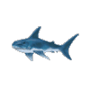 aqua_a_082