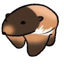 greatonebearbutfast