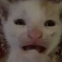 sad_car