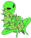 Alien_bud