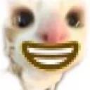 smaycel