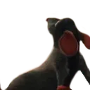 RemyChill