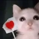 lollyforyou
