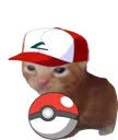 pokebert4x