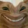 Cat_smily