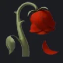 EmoRose