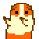 hamsterP