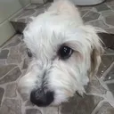 cf7f1e3074aa4beb981cf913c26680f2