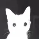 cat_ghost