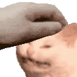 petlemon