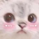 Strong_CatBlush Strong_CatBlush