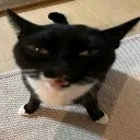 emoji_5
