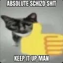 schizo