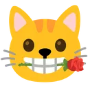 ilgattoconrose
