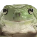 frognod