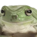 frogno