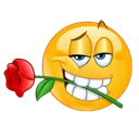 rose
