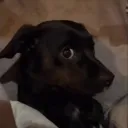 bro_what