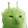glorp