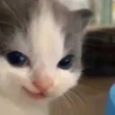catevil