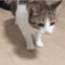 ded