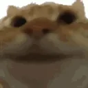 emoji_49
