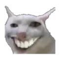 Cursedcat