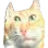 1184568247836758016