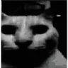 1127947411734671461